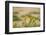 Kenya, Amboseli National Park, Yellow Canary or Weaver-Anthony Asael/Art in All of Us-Framed Photographic Print