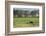 Kenya, Amboseli NP, Elephant Mother Playing with Dust with Calf-Anthony Asael-Framed Photographic Print