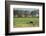 Kenya, Amboseli NP, Elephant Mother Playing with Dust with Calf-Anthony Asael-Framed Photographic Print