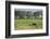 Kenya, Amboseli NP, Elephant Mother Playing with Dust with Calf-Anthony Asael-Framed Photographic Print