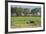 Kenya, Amboseli NP, Elephant Mother Playing with Dust with Calf-Anthony Asael-Framed Photographic Print