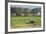 Kenya, Amboseli NP, Elephant Mother Playing with Dust with Calf-Anthony Asael-Framed Photographic Print