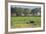 Kenya, Amboseli NP, Elephant Mother Playing with Dust with Calf-Anthony Asael-Framed Photographic Print