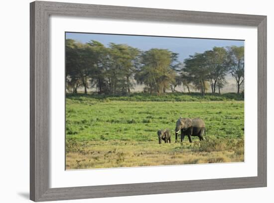 Kenya, Amboseli NP, Elephant Mother Playing with Dust with Calf-Anthony Asael-Framed Photographic Print