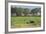 Kenya, Amboseli NP, Elephant Mother Playing with Dust with Calf-Anthony Asael-Framed Photographic Print