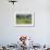 Kenya, Amboseli NP, Elephant Mother Playing with Dust with Calf-Anthony Asael-Framed Photographic Print displayed on a wall