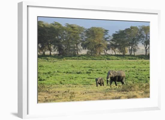 Kenya, Amboseli NP, Elephant Mother Playing with Dust with Calf-Anthony Asael-Framed Photographic Print