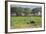 Kenya, Amboseli NP, Elephant Mother Playing with Dust with Calf-Anthony Asael-Framed Photographic Print