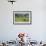 Kenya, Amboseli NP, Elephant Mother Playing with Dust with Calf-Anthony Asael-Framed Photographic Print displayed on a wall