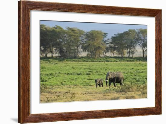 Kenya, Amboseli NP, Elephant Mother Playing with Dust with Calf-Anthony Asael-Framed Photographic Print