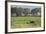 Kenya, Amboseli NP, Elephant Mother Playing with Dust with Calf-Anthony Asael-Framed Photographic Print