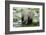 Kenya, Amboseli NP, Elephants in Wet Grassland in Cloudy Weather-Anthony Asael-Framed Photographic Print