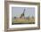 Kenya, Amboseli NP, Maasai Giraffe with Burchell's Zebra at Water Hole-Alison Jones-Framed Photographic Print