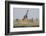 Kenya, Amboseli NP, Maasai Giraffe with Burchell's Zebra at Water Hole-Alison Jones-Framed Photographic Print