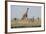 Kenya, Amboseli NP, Maasai Giraffe with Burchell's Zebra at Water Hole-Alison Jones-Framed Photographic Print