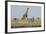 Kenya, Amboseli NP, Maasai Giraffe with Burchell's Zebra at Water Hole-Alison Jones-Framed Photographic Print