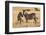 Kenya, Chyulu Hills, Mbirikani, Pair of Burchell's Zebra-Alison Jones-Framed Photographic Print