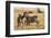 Kenya, Chyulu Hills, Mbirikani, Pair of Burchell's Zebra-Alison Jones-Framed Photographic Print