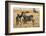 Kenya, Chyulu Hills, Mbirikani, Pair of Burchell's Zebra-Alison Jones-Framed Photographic Print