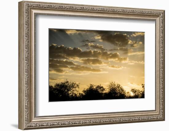 Kenya, Chyulu Hills, Old Donyo Wuas Lodge, Mbirikani, Sunrise-Alison Jones-Framed Photographic Print