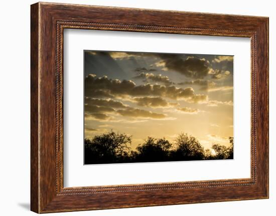 Kenya, Chyulu Hills, Old Donyo Wuas Lodge, Mbirikani, Sunrise-Alison Jones-Framed Photographic Print