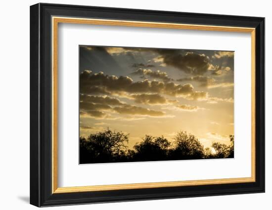 Kenya, Chyulu Hills, Old Donyo Wuas Lodge, Mbirikani, Sunrise-Alison Jones-Framed Photographic Print