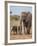 Kenya, Kajiado County, Amboseli National Park. a Female African Elephant with Two Small Babies.-Nigel Pavitt-Framed Photographic Print