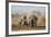 Kenya, Kajiado County, Amboseli National Park. a Herd of African Elephants on the Move.-Nigel Pavitt-Framed Photographic Print