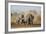 Kenya, Kajiado County, Amboseli National Park. a Herd of African Elephants on the Move.-Nigel Pavitt-Framed Photographic Print