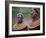 Kenya, Laikipia, Ol Malo-John Warburton-lee-Framed Photographic Print