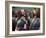 Kenya, Laikipia, Ol Malo-John Warburton-lee-Framed Photographic Print