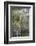 Kenya, Lake Nakuru National Park, Giraffe Eating from the Tree-Anthony Asael-Framed Photographic Print