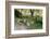 Kenya, Lake Nakuru National Park, Rear View on 3 Zebras at Sunset-Anthony Asael-Framed Photographic Print