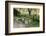 Kenya, Lake Nakuru National Park, Rear View on 3 Zebras at Sunset-Anthony Asael-Framed Photographic Print