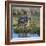 Kenya, Lewa Conservancy, Meru County. a Grevys Zebra Stands in a Stream in Lewa Conservancy.-Nigel Pavitt-Framed Photographic Print