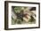 Kenya, Maasai Mara Game Reserve, Mother Lion Playing with Cubs-Kent Foster-Framed Photographic Print