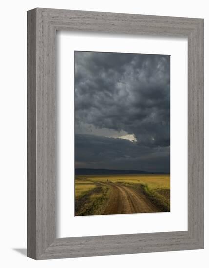 Kenya, Maasai Mara, Mara River Basin, Storm Cloud at Sunset and Road-Alison Jones-Framed Photographic Print