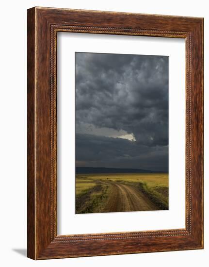 Kenya, Maasai Mara, Mara River Basin, Storm Cloud at Sunset and Road-Alison Jones-Framed Photographic Print