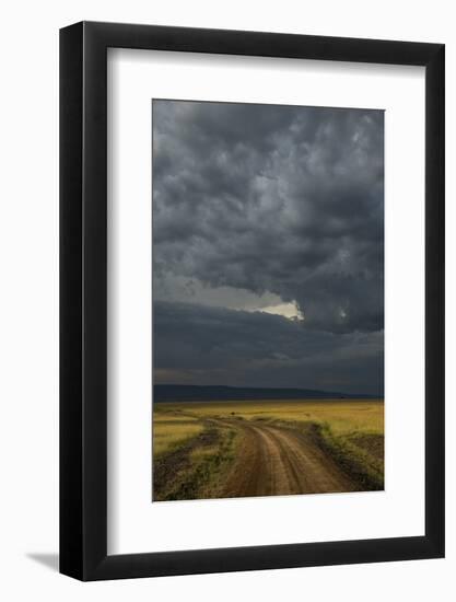 Kenya, Maasai Mara, Mara River Basin, Storm Cloud at Sunset and Road-Alison Jones-Framed Photographic Print