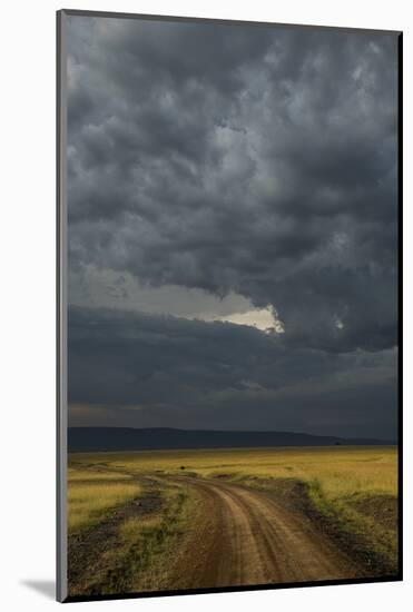 Kenya, Maasai Mara, Mara River Basin, Storm Cloud at Sunset and Road-Alison Jones-Mounted Photographic Print