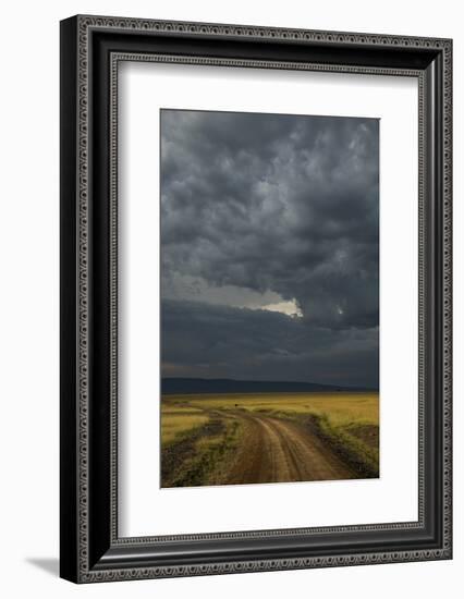 Kenya, Maasai Mara, Mara River Basin, Storm Cloud at Sunset and Road-Alison Jones-Framed Photographic Print