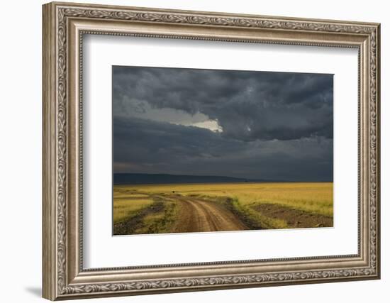 Kenya, Maasai Mara, Mara River Basin, Storm Cloud at Sunset and Road-Alison Jones-Framed Photographic Print