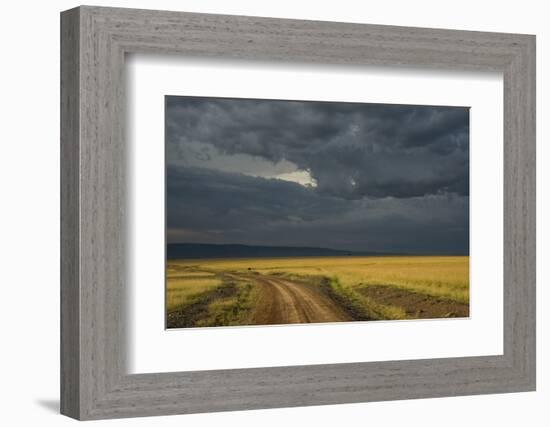 Kenya, Maasai Mara, Mara River Basin, Storm Cloud at Sunset and Road-Alison Jones-Framed Photographic Print