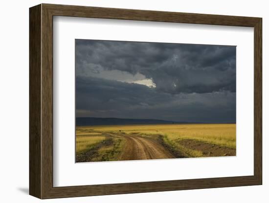 Kenya, Maasai Mara, Mara River Basin, Storm Cloud at Sunset and Road-Alison Jones-Framed Photographic Print