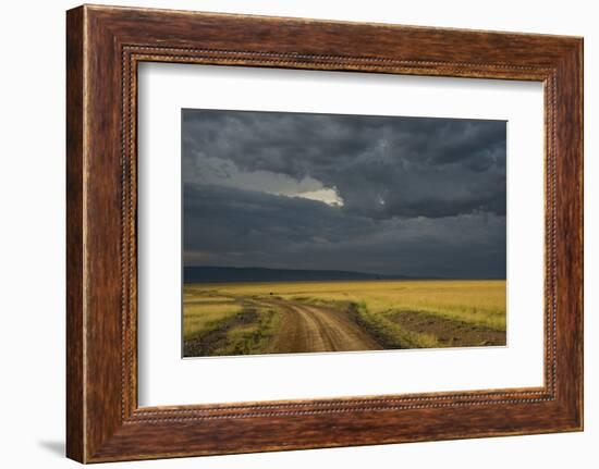 Kenya, Maasai Mara, Mara River Basin, Storm Cloud at Sunset and Road-Alison Jones-Framed Photographic Print