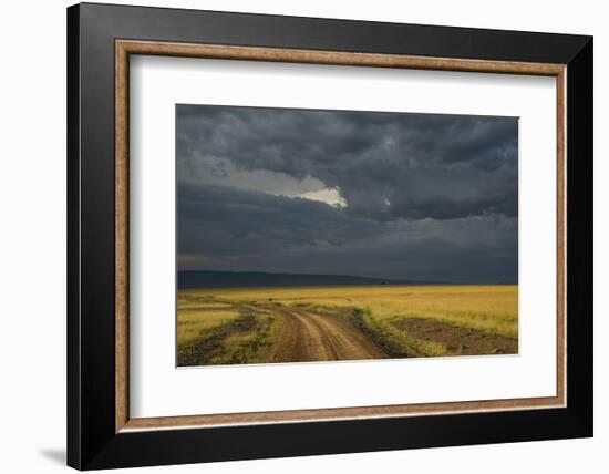 Kenya, Maasai Mara, Mara River Basin, Storm Cloud at Sunset and Road-Alison Jones-Framed Photographic Print