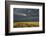 Kenya, Maasai Mara, Mara River Basin, Storm Cloud at Sunset and Road-Alison Jones-Framed Photographic Print