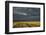 Kenya, Maasai Mara, Mara River Basin, Storm Cloud at Sunset and Road-Alison Jones-Framed Photographic Print