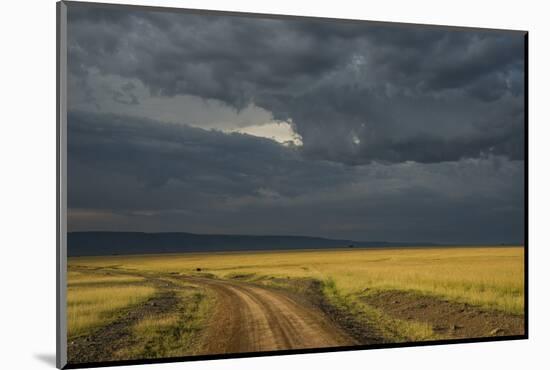 Kenya, Maasai Mara, Mara River Basin, Storm Cloud at Sunset and Road-Alison Jones-Mounted Photographic Print