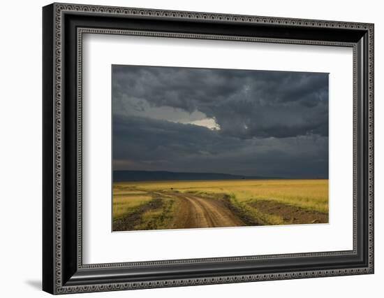 Kenya, Maasai Mara, Mara River Basin, Storm Cloud at Sunset and Road-Alison Jones-Framed Photographic Print